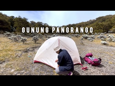 Tracking Malam Di Gunung Pangrango Dan Diguyur Hujan Sepanjang Jalan | Gunung Pangrango || VLOG 4