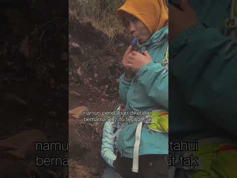 duhh ngeri jga yaa alas lali jiwo ini, pernah ada pengalaman apa ni di gunung Arjuno #arjuno #shorts