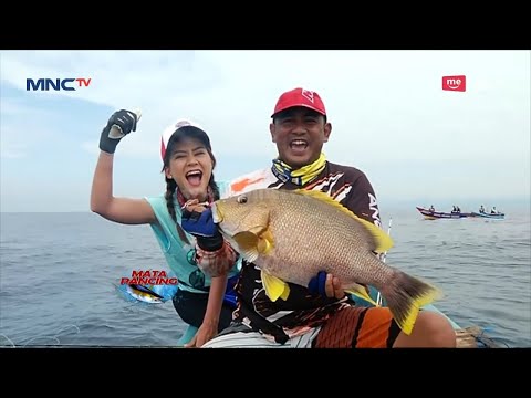 Ikan Kakap Kuning Jadi Pembuka Strike Mancing di Pantai Blado Part 01 – Mata Pancing 13/01