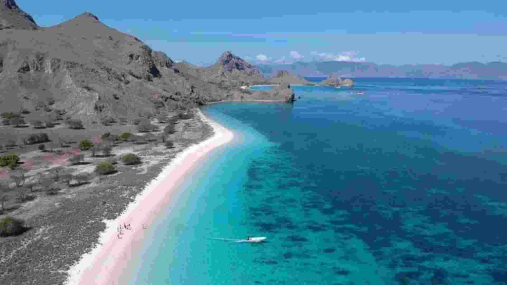 hipmi-mabar-ajak-kalaborasi-penataan-kawasan-pink-beach-labuan-bajo