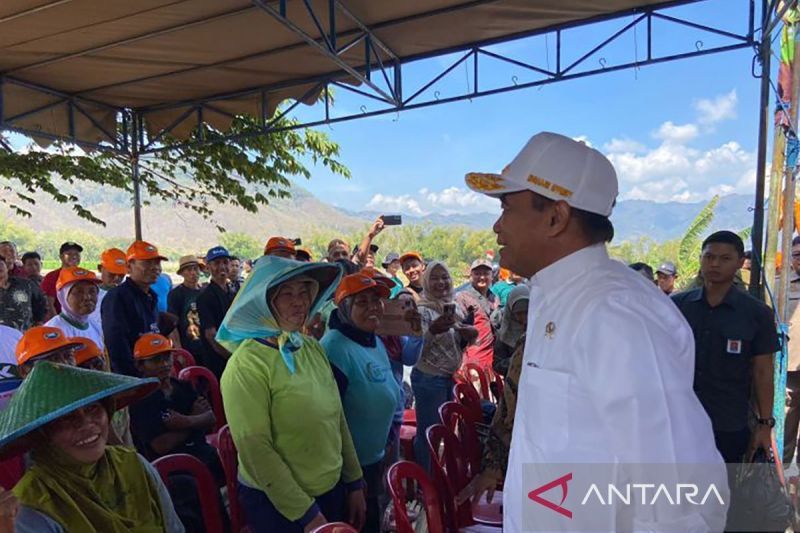 menko-pmk-sebut-nasi-jagung-bisa-jadi-opsi-menu-makan-siang-gratis