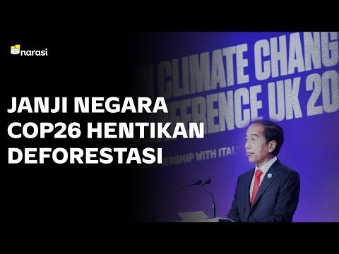 Janji Dunia Akhiri Deforestasi | Narasi Newsroom