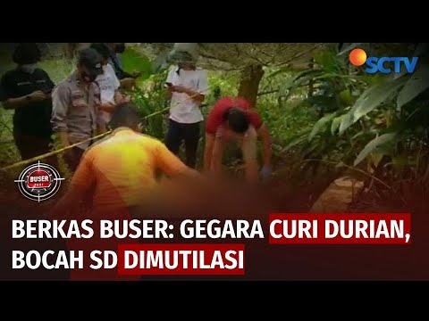 Berkas Buser: Bocah SD Tewas Dimutilasi Gegara Ambil Buah Durian Dua Biji | Buser