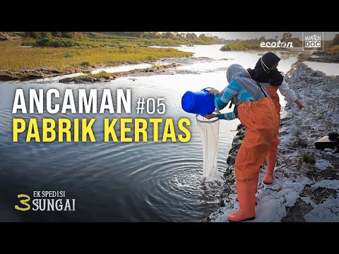 ANCAMAN PABRIK KERTAS – Ekspedisi 3 Sungai #05