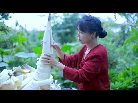 Liuzhou “Luosifen”| 吃得满足，嗦得过瘾，辣得舒坦，就一碗柳州螺蛳粉 | Liziqi Channel