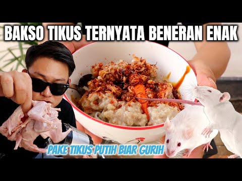 BUAT BAKSO DARI TIKUS PUTIH, ENAK URATNYA, TULANGNYA KRIUK KENYAL.