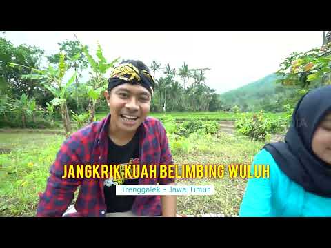 JEJAK ANAK NEGERI | Nyicip Kuliner Trenggalek (08/07/21) PART 3