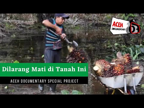 Full Documentary || Dilarang Mati di Tanah Ini (2014) – Aceh Documentary Special Project