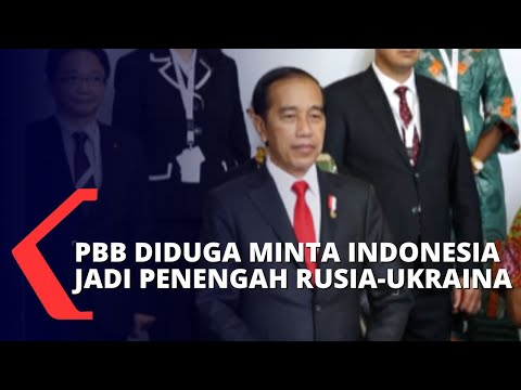 Kunjungan Jokowi ke Rusia & Ukraina, Bisakah Indonesia Menjadi Jembatan Perdamaian Antara Keduanya?