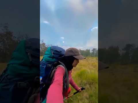 Story Pendaki gunung Lawu Jawa – Gunung Indonesia #shorts #pendaki #story #gunungindonesia