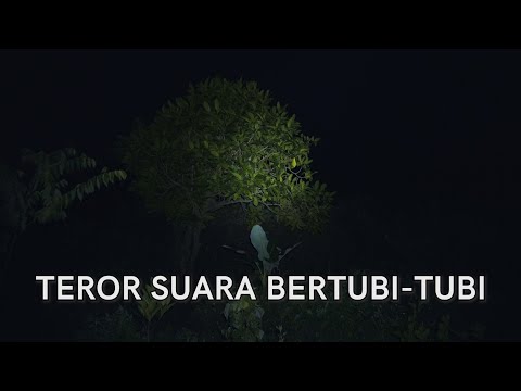 Serangan Paling Brutal di Ekspedisi (Langit Kelabu #11)