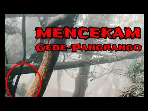 Video Penampakan Pendaki Gunung  | Cerita Mistis Pendaki Gunung #Shorts