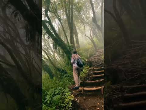 Story Wa pendaki gunung viral – Gunung Indonesia #shorts #pendaki #story #gunungindonesia