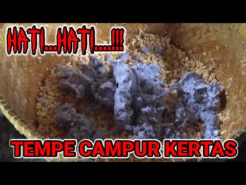 Kacang kedelai mahal TEMPE CAMPUR KERTAS