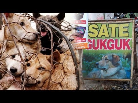 Terkenal Kota Kuliner Berbahan Daging Anjing, Ini Alasan Walikota Solo Tak Mau Melarangnya