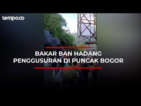 PKL di Kawasan Puncak Bogor Digusur, Warga Berikan Perlawanan