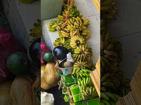 TRANSAKSI ANTARA PEDAGANG BUAH DAN PEMBELI DI PASAR TRADISIONAL #shorts #viral #trending