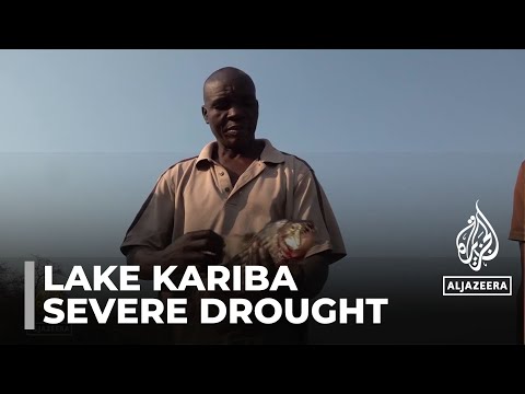 Lake Kariba’s drying waters: People in Zimbabwe affected by severe drought