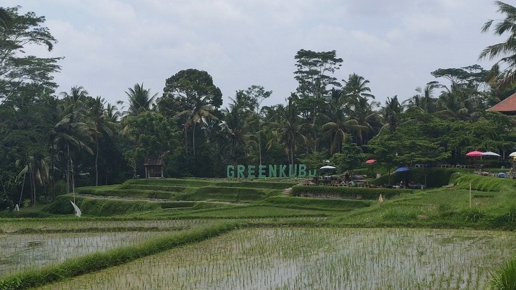 ketika-sawah-&-lahan-hijau-di-bali-beralih-fungsi-jadi-bangunan