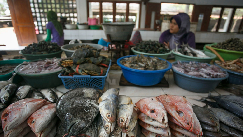 ironi-indonesia-sebagai-negara-maritim,-tapi-masih-impor-ikan