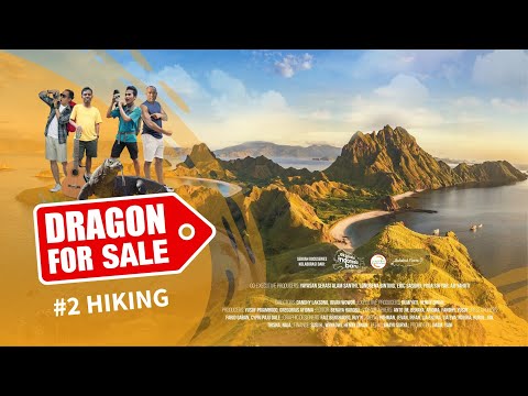 DRAGON FOR SALE #2 Hiking