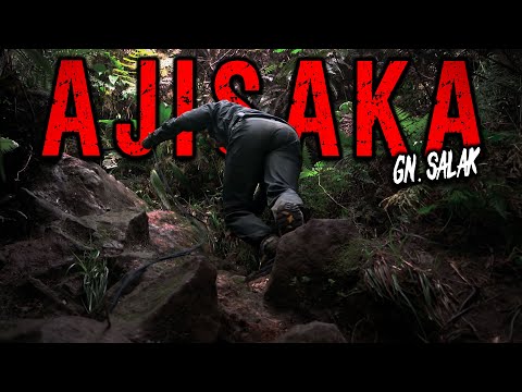 BISA GA GUNUNG INI JALANNYA DIASPAL BIAR GA PEGEL – PENDAKIAN Gn. SALAK via AJISAKA | KNG #22