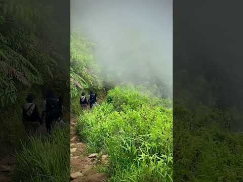 Kabut di Gunung Andong, Magelang