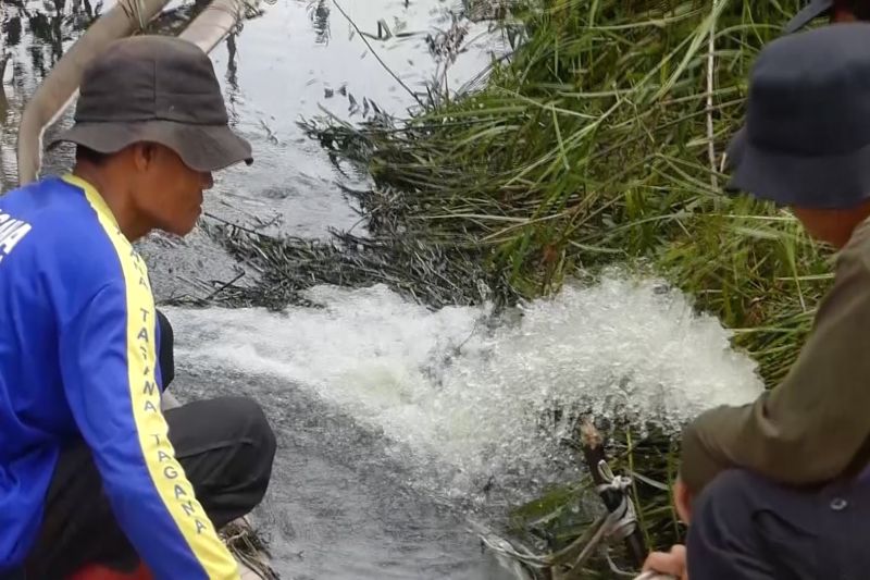 pemprov-kalsel-basahi-hutan-lindung-kawasan-bandara-cegah-karhutla