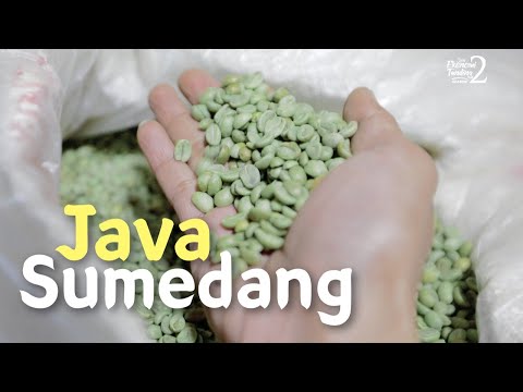 JAVA SUMEDANG – Cara Petani Kopi Meningkatkan Kualitas dan Harga