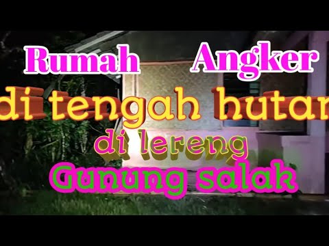 live di villa tengeh hutan gunung salak