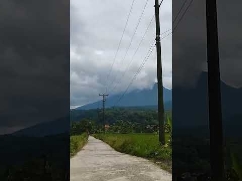 Gunung salak berkabut Pamijahan Kabupaten bogor #2023 #shorts