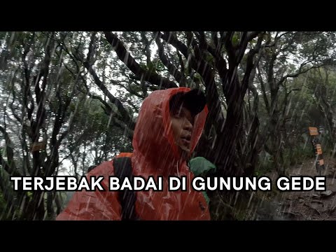 Terjebak Hujan Badai di Gunung Gede