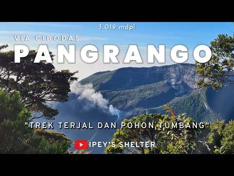 Pendakian Gunung Pangrango via Cibodas | Estimasi Waktu | Semua yang Perlu Anda Ketahui | FULL