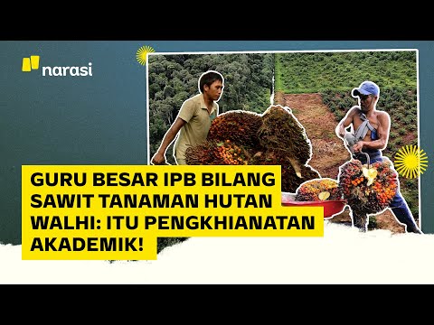 Guru Besar IPB Sebut Sawit Tanaman Hutan, Walhi: Pengkhianatan Akademik! | Narasi Daily