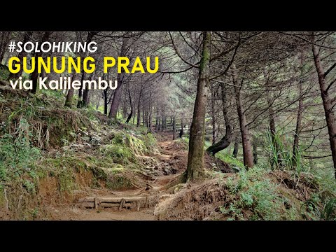 Solo Hiking Gunung Prau via Kalilembu