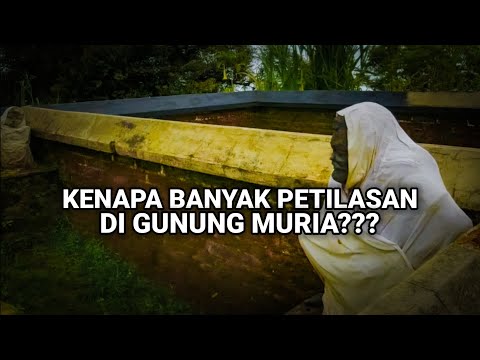 GUNUNG MURIA Atau GUNUNG RAHTAWU – Ngobrol Sama Ibu penjaga warung