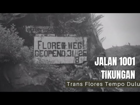 JALAN 1001 TIKUNGAN – TRANS FLORES TEMPO DULU @wilcodurus