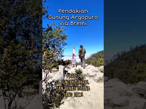 Part 3 | Pendakian Gunung Argopuro Via Bremi | #argopuro #exploregunung #pendakiindonesia