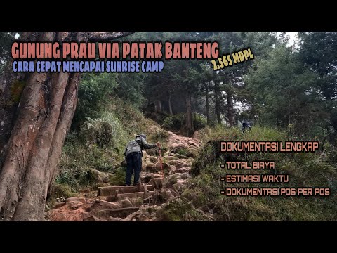 [TOTAL BIAYA] GUNUNG PRAU VIA PATAK BANTENG || PANDUAN TRANSPORTASI KE BASECAMP PATAK BANTENG