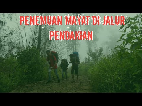 CERITA HOROR PENDAKIAN GUNUNG bertemu mayat di jalur pendakian