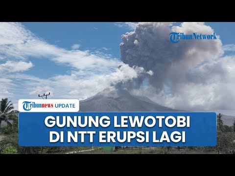 Gunung Lewotobi Laki-laki di NTT Kembali Erupsi, Keluarkan Abu Vulkanik Tebal, Stok Masker Menipis