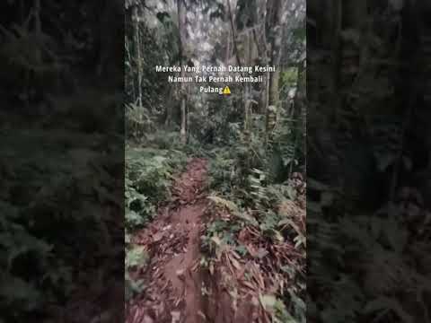 Banyak yg datang namun tak pernah kembali di Gunung salak #ytshorts #trending #gunungsalak