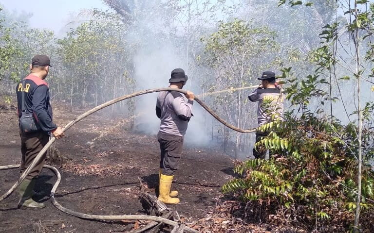 kebakaran-hutan-dan-lahan-terus-terjadi-di-konsesi-korporasi