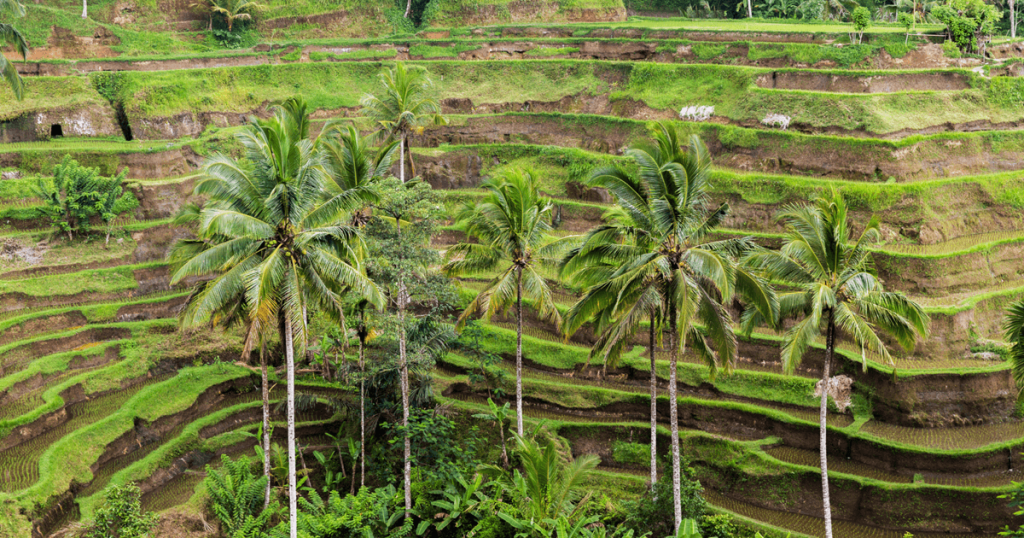 7-kearifan-lokal-indonesia-dalam-menjaga-alam