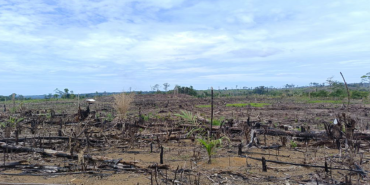 investigasi-konsesi-tambang:-ancaman-terhadap-hutan-lindung-di-bengkulu 