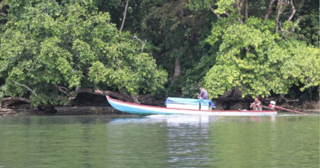 was-was-perusahaan-sawit-masuk-pulau-enggano