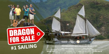 DRAGON FOR SALE #1 Sailing