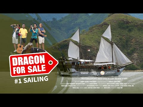 DRAGON FOR SALE #1 Sailing