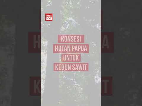 Pemerintah akan Sulap 450.000 Hektar Lebih Hutan Papua untuk Kebun Sawit & Sawah