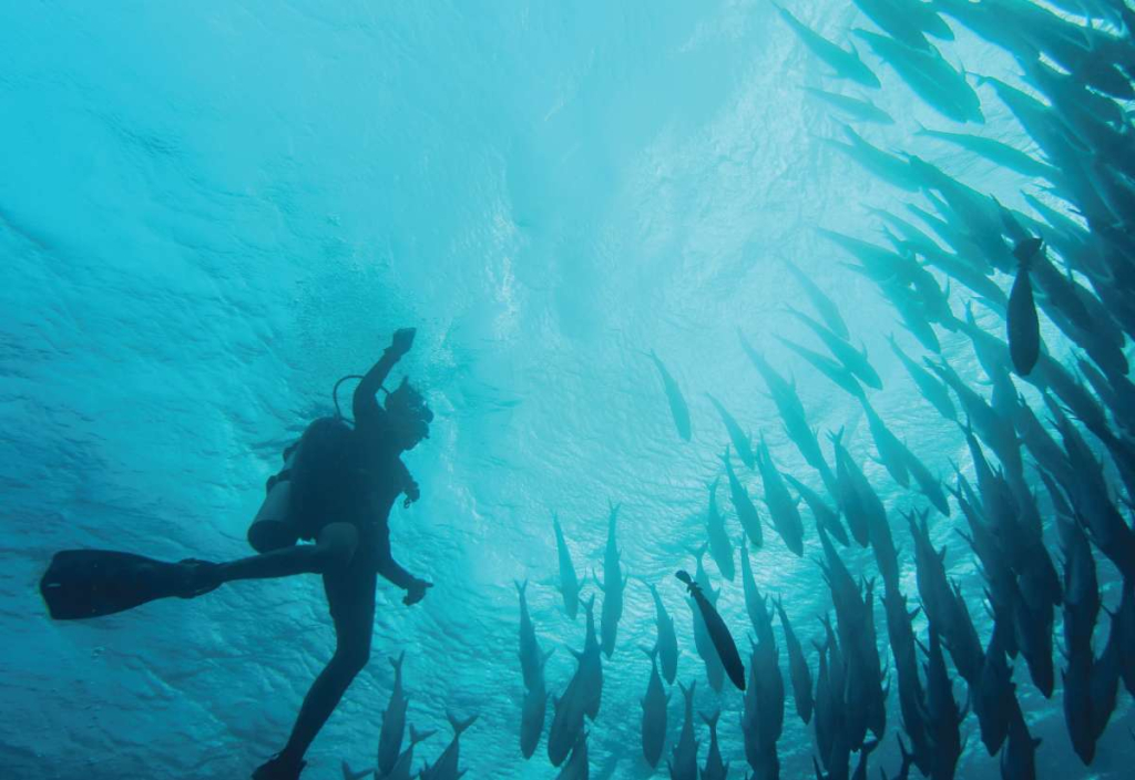 into-the-wondrous-waters-of-wakatobi